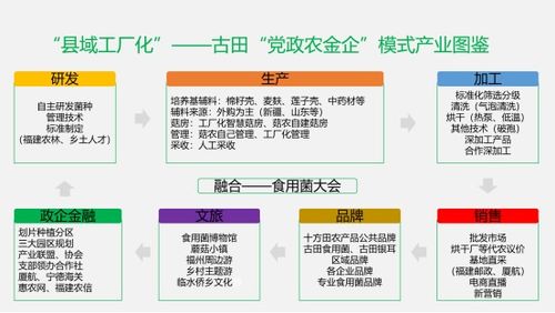 福建古田 食用菌产业的“智慧革命”与产业风向标